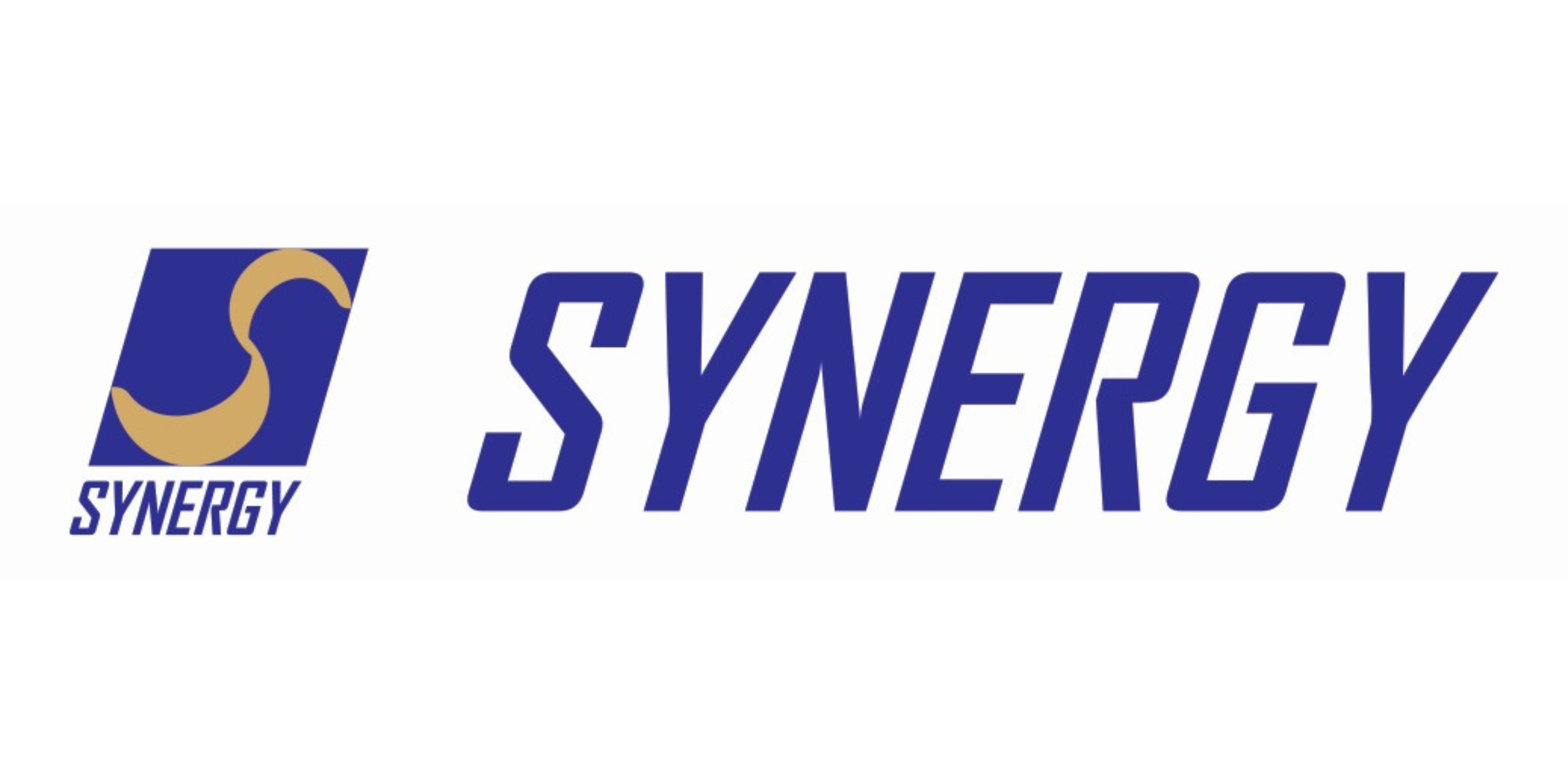 LOGO SYNERGY